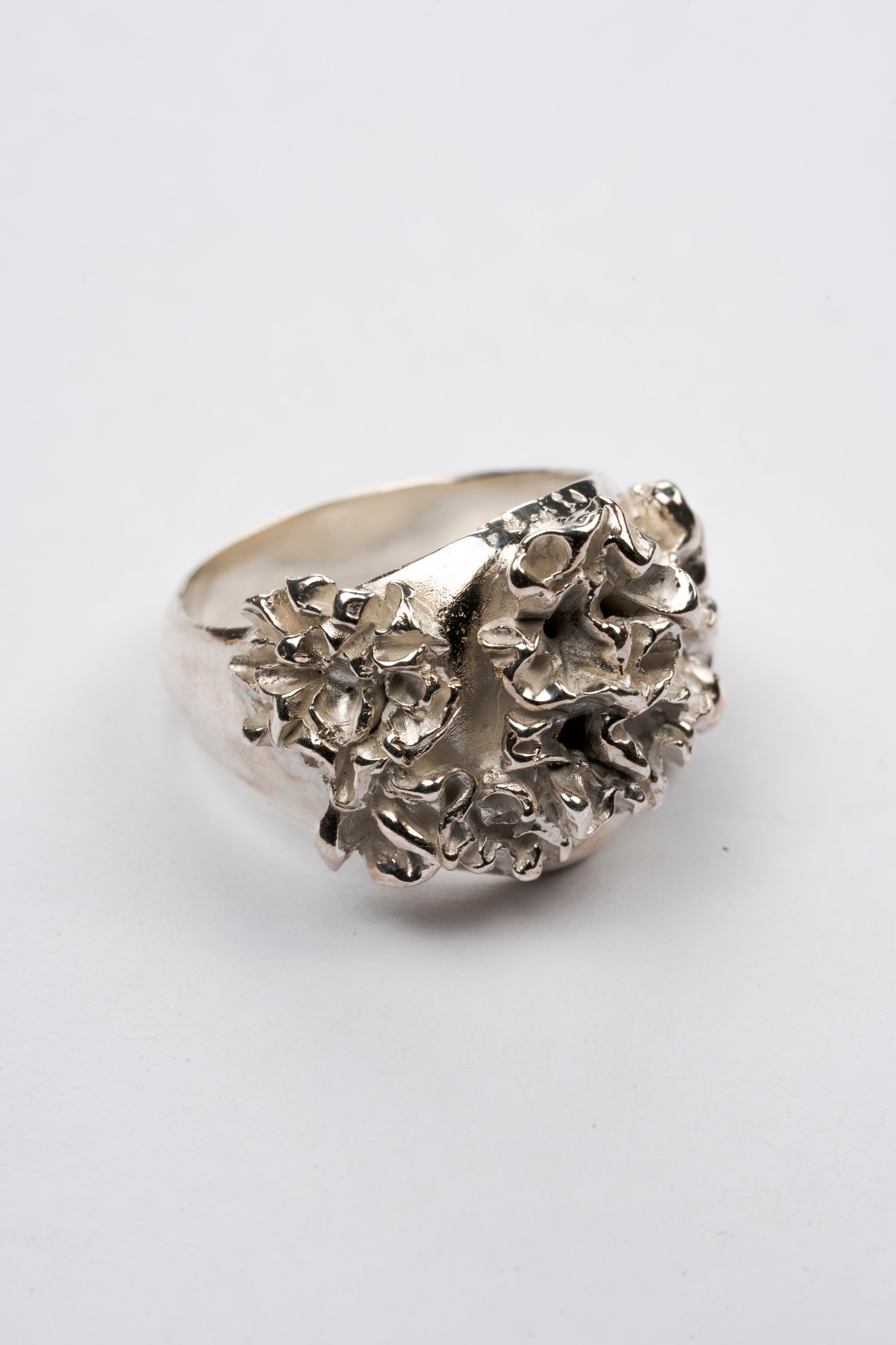 Carnation Coral Signet