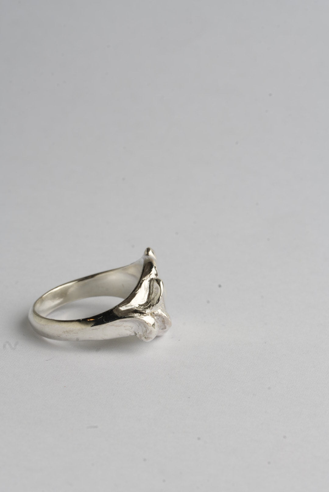 Julius Ring