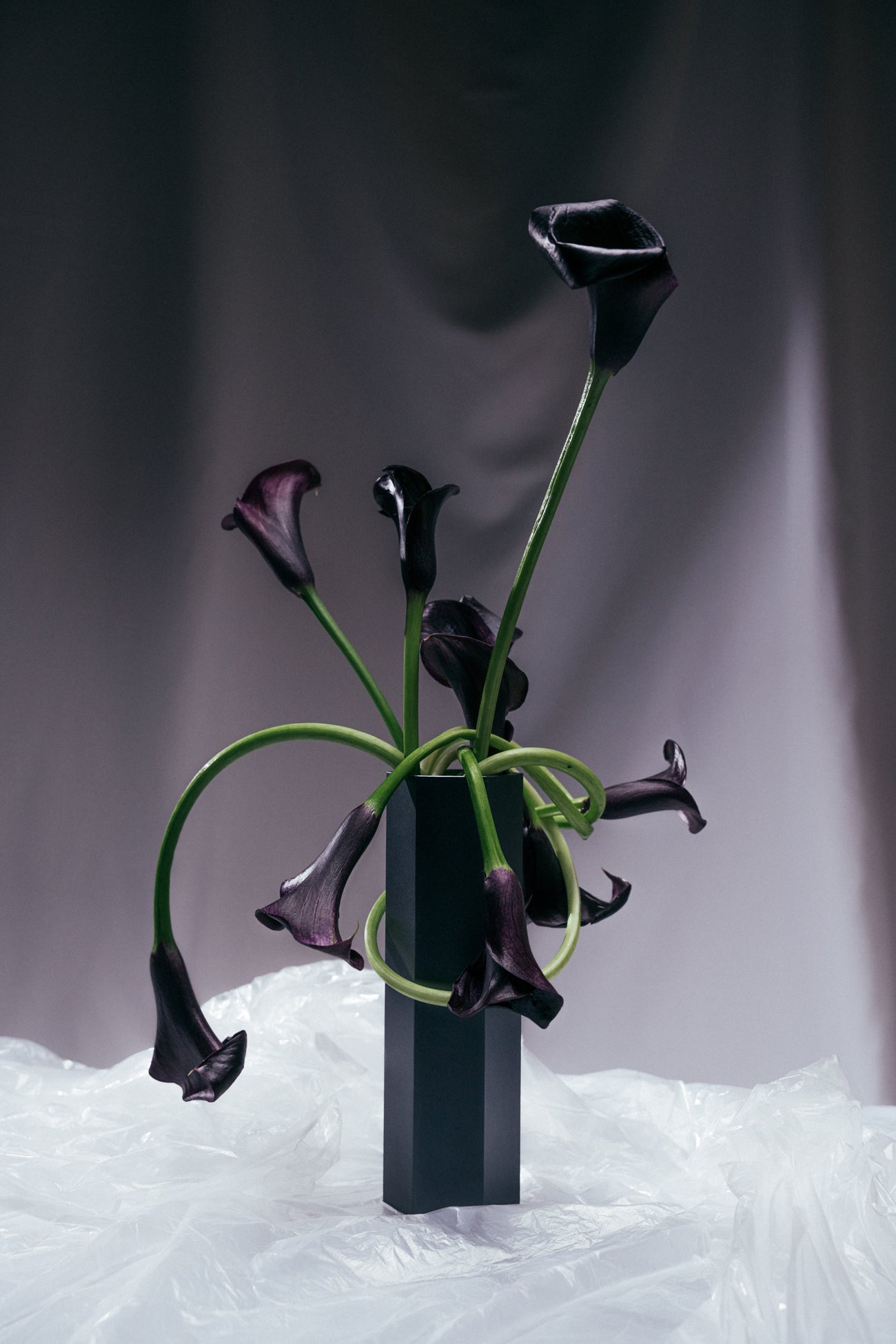 VASE 01: Polar Night