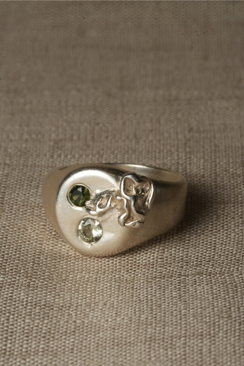 Luceat Signet